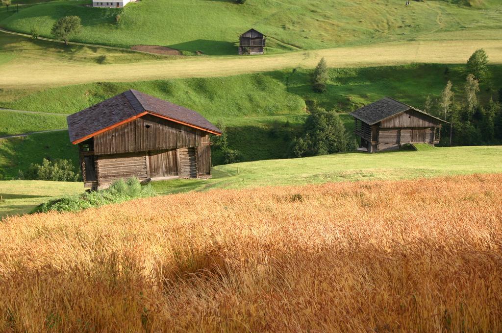 Bauernhof Im Wiesengrund Maria Luggau Exteriör bild